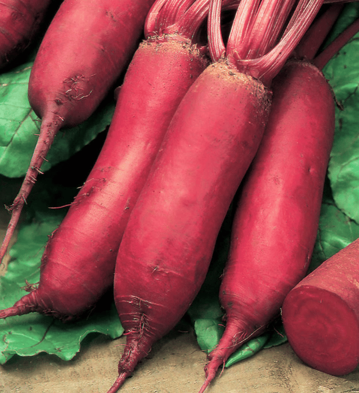 Сорт "Цилиндра"