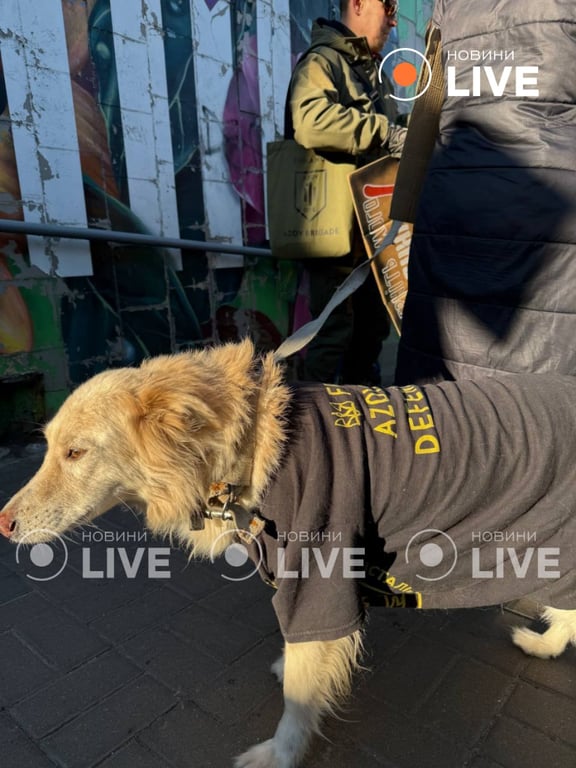 Free Azov в Киеве 5 января