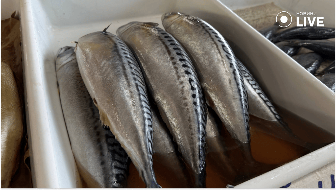 Скільки коштують продукти в Одесі: свіжі ціни з Привозу - фото 8