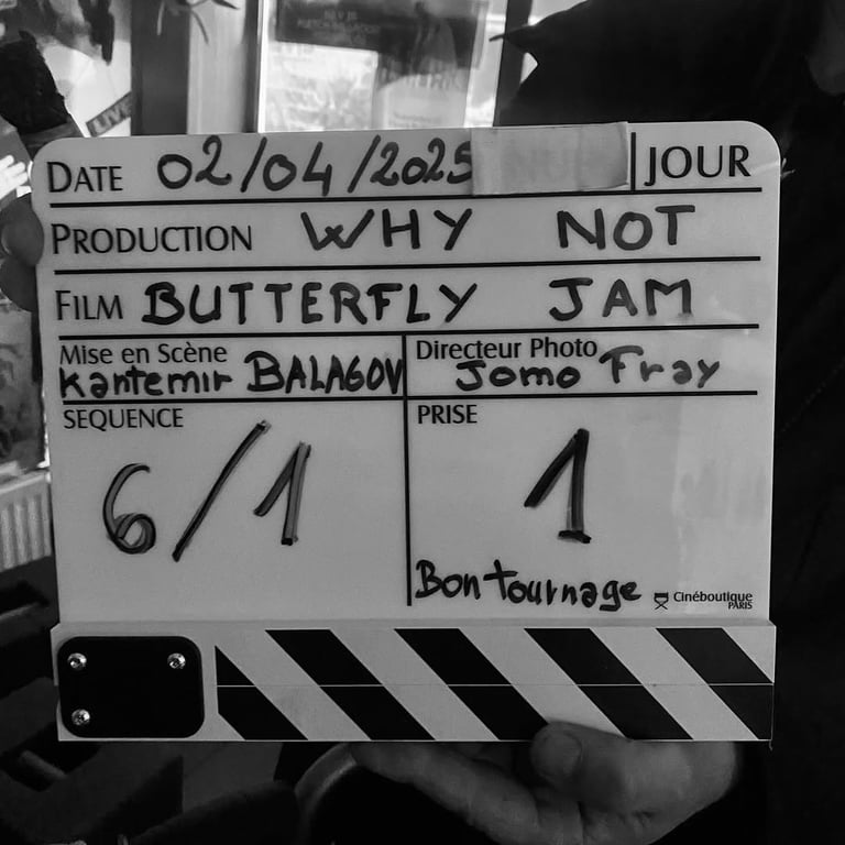 Фільм Варення з метеликів - фото