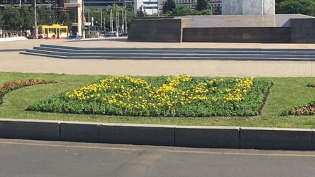 Вулиці Одеси прикрасили п’ятьма тисячами квітів - 285x160