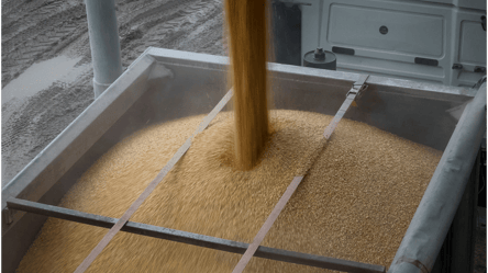 Молдова поки що не обмежуватиме імпорт зерна з України - 285x160