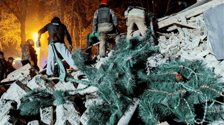 Clearance of debris amidst a Christmas tree in Kryvyi Rih — photo - 285x160