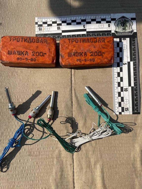 Вилучені у зловмисника боєприпаси