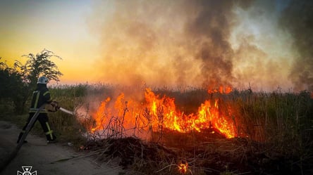 Пожарная опасность: за неделю на Одесчине произошло более 100 возгораний сухостоя - 285x160