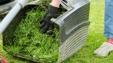 Не мульчируйте свежей травой — растения могут погибнуть - 285x160