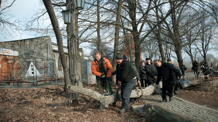 Можно ли без разрешения рубить деревья, растущие на границе с соседом - 328x184