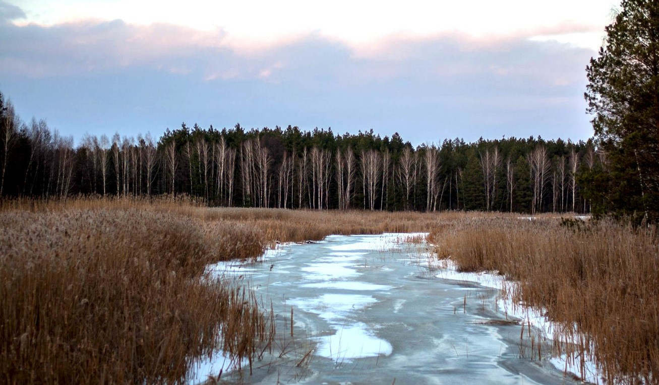 Топ-3 місця в 100 км від Києва, які варто відвідати кожному - фото 1