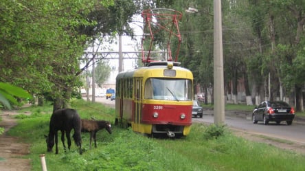 Камышовый трамвай в Одессе остановлен — в чем причина - 285x160