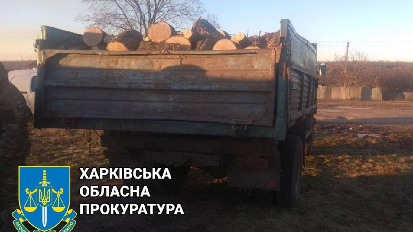 В Харьковской области разоблачили черных лесорубов, которые "нарубили" на миллион гривен