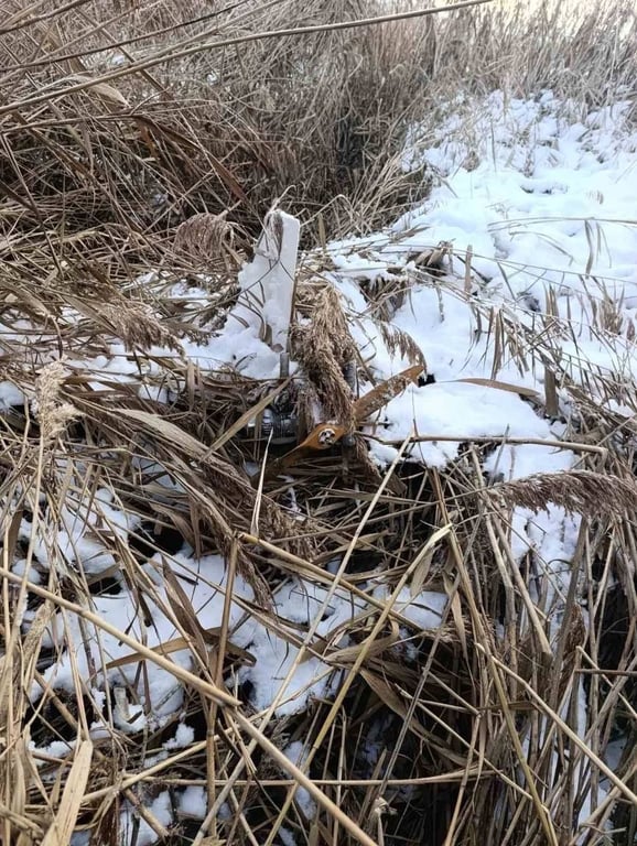 Дрон у полі