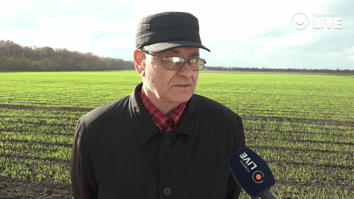 Блекаути й врожай — одеський науковець розповів про ризики - фото 1