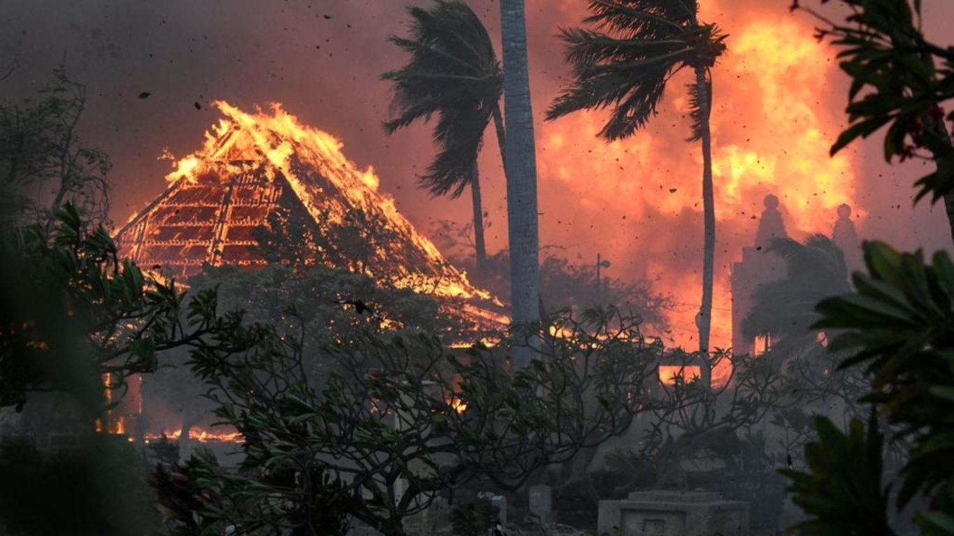 Лесные пожары на Гавайях: стало известно о количестве погибших