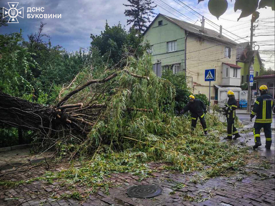Как ГСЧС ликвидирует последствия бури в Черновицкой области