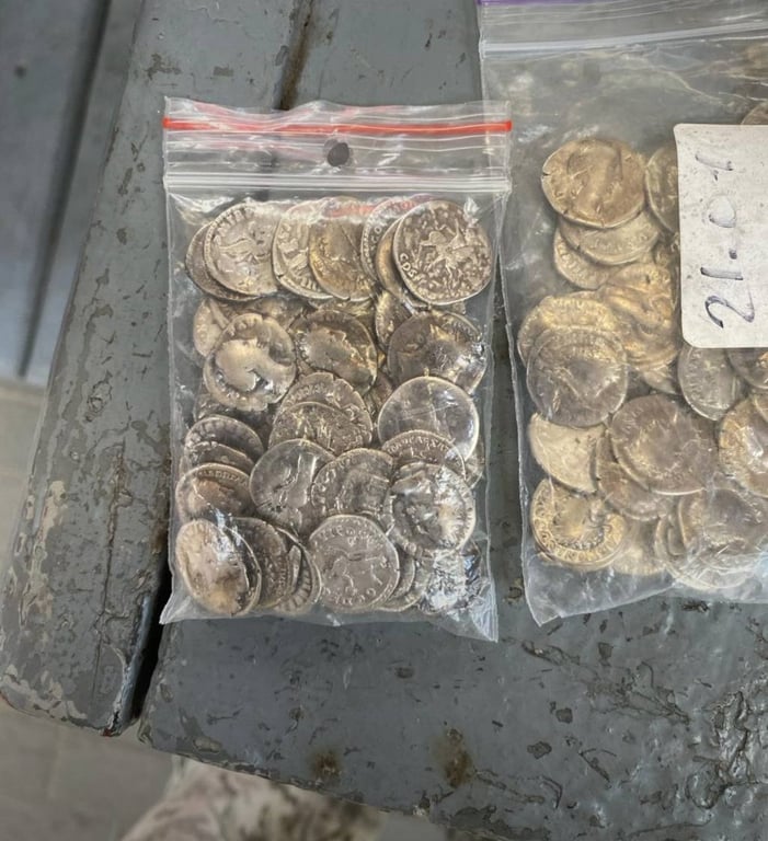Вилучені монети. Фото: ДПСУ