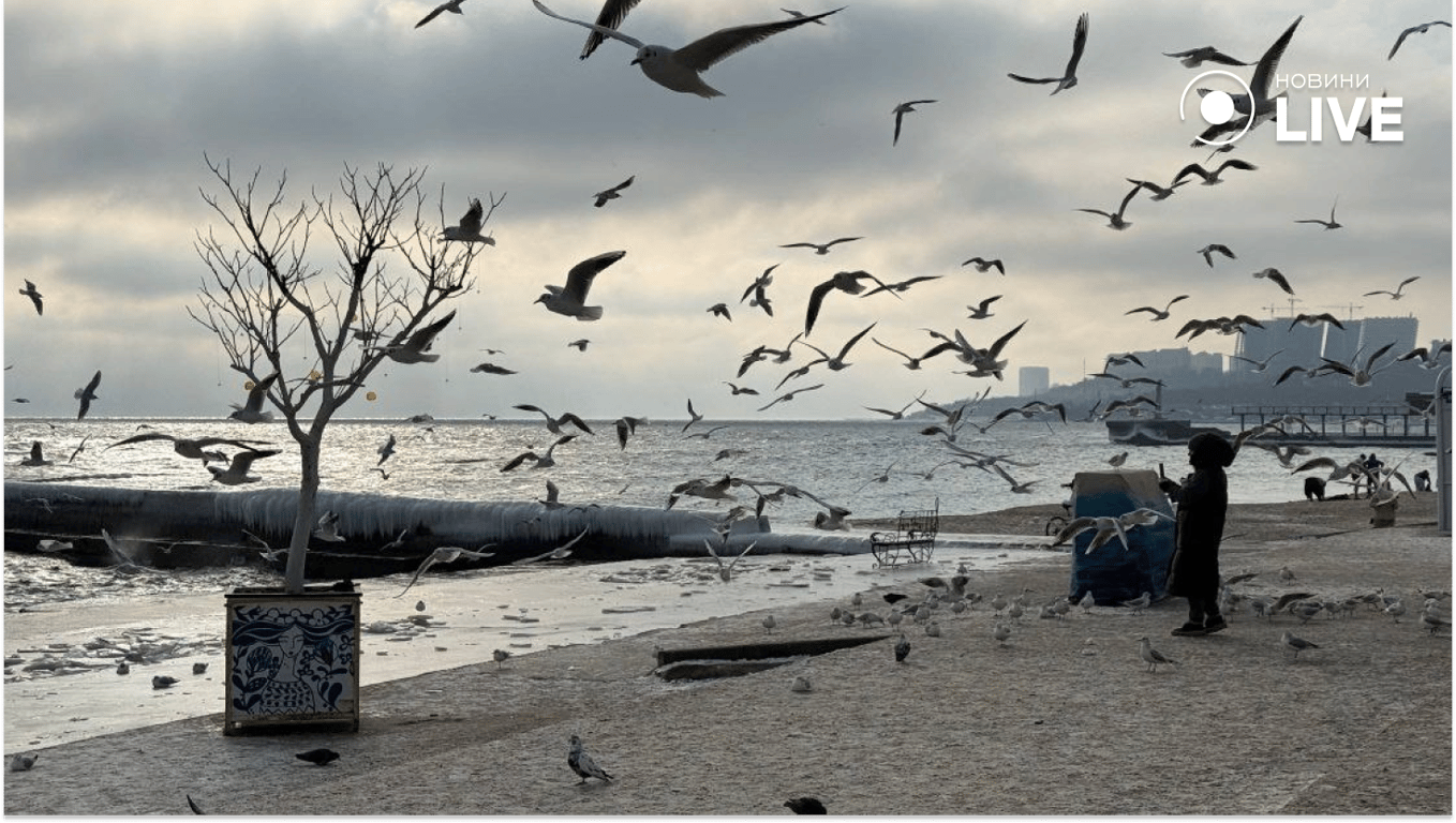 Зимова краса на пляжі Одеси