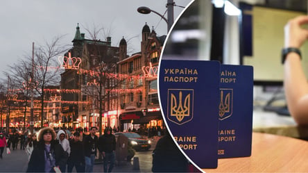 IND перевірятиме військові документи українських біженців - 290x160