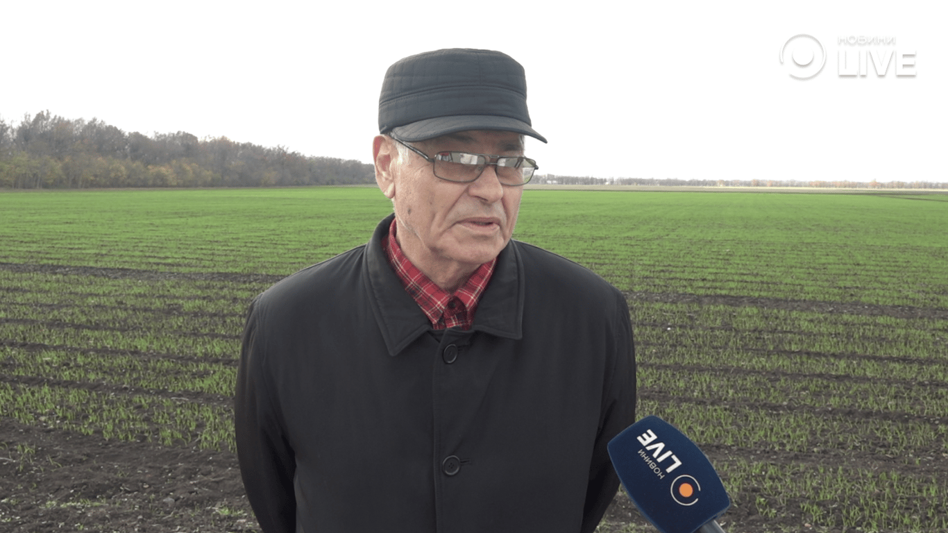 головний науковий співробітник Одеського селекційно-генетичного інституту НЦНС, Литвиненко Микола Антонович