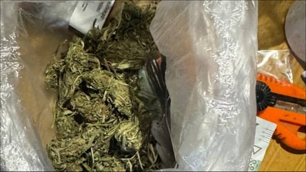 На Закарпатті судили мукачівця — торгував забороненими речовинами - 285x160