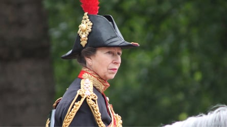 Единственная сестра Чарльза III отреагировала на его планы сократить королевскую семью - 285x160