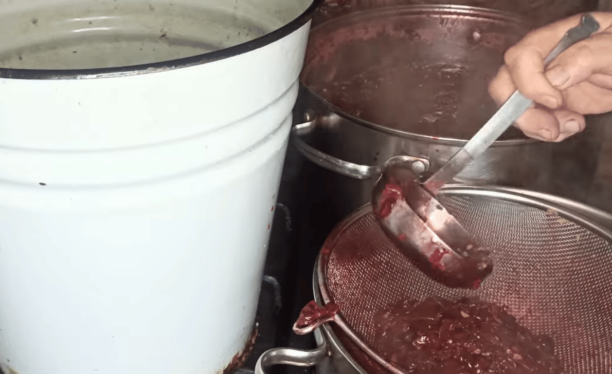 Рецепт виноградного сока