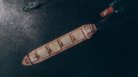 100 суден заблоковані в Босфорі: Братчук про роботу "зернового коридору" - 285x160