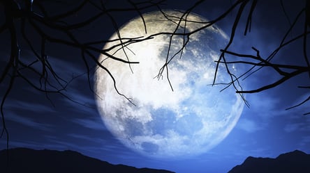 Первый отель на Луне — в какую сумму обойдется номер (фото) - 285x160