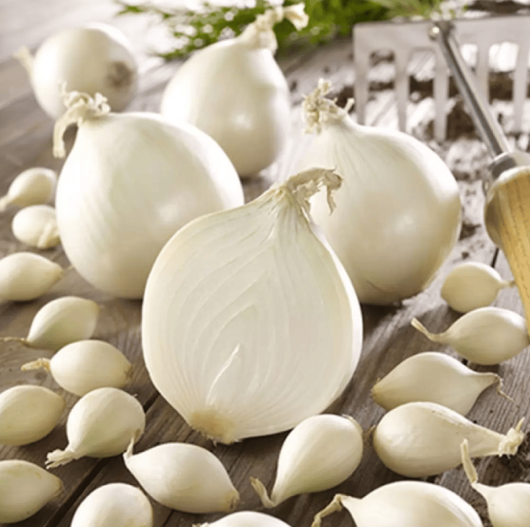 Сорт "Стардаст"