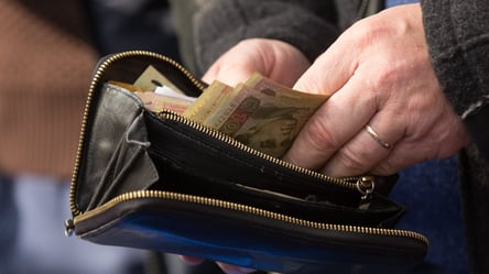 Деякі соцвиплати залишилися з 90-х років — Гетманцев назвав суми - 285x160