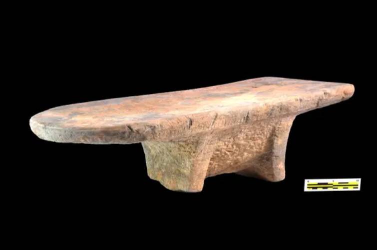 Плита с древними крахмальными зернами имбиря, корицы и мускатного ореха на поверхности