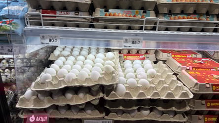 Выгодная цена: один из супермаркетов предложил яйца по 5,99 грн - 285x160