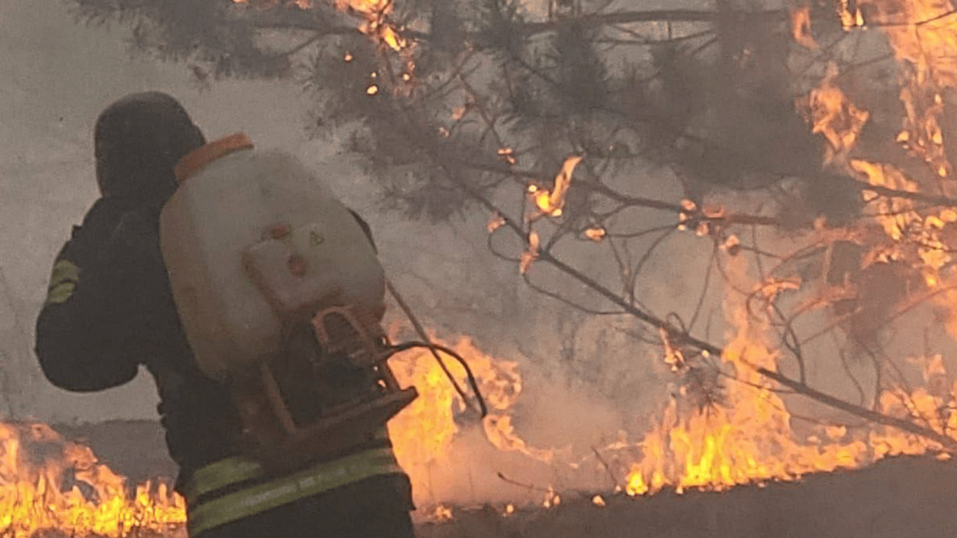 На Харківщині через російський обстріл сталася масштабна лісова пожежа