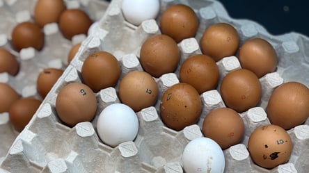 Самая дешевая упаковка яиц — в каком супермаркете найти "клад" - 285x160