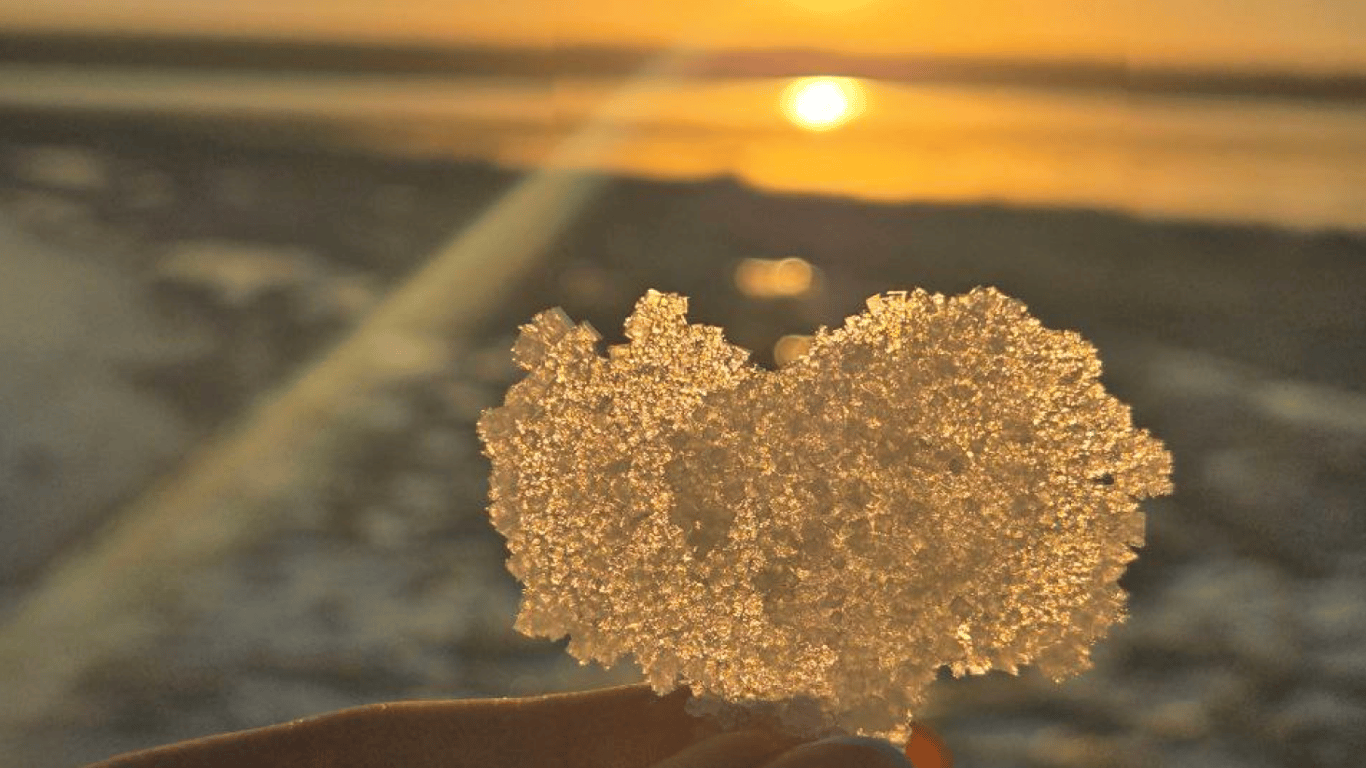 Щоб врятувати Куяльницький лиман одесити збирають сіль — фото - фото 12