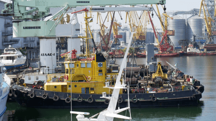 Порт на Одесчине отдадут в концессию без Prozorro — изменения - 290x166