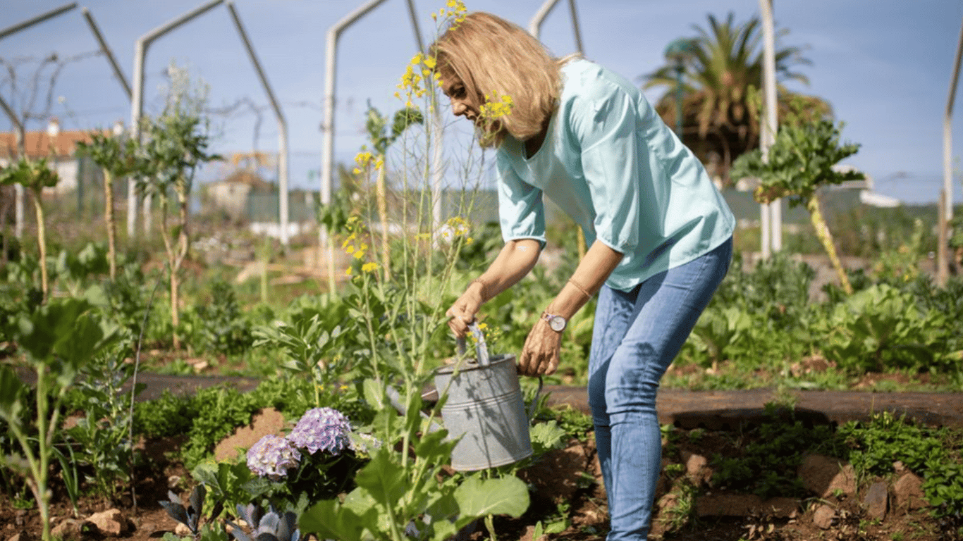 Что делать, если переборщили с удобрениями на огороде — действенные советы