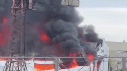 У Новосибірську палає завод з виробництва електроніки — відео - 285x160