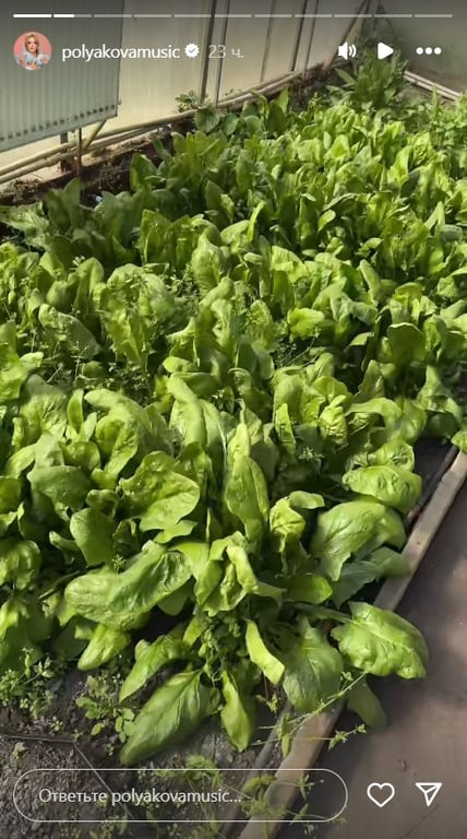 Город Полякової