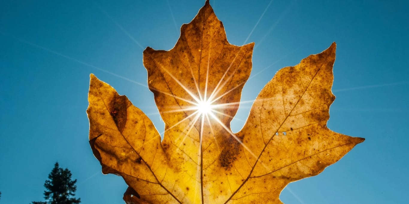 Осіннє рівнодення 2025 — що воно означає в астрології