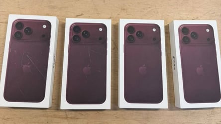 Таможенники пресекли первые попытки незаконного ввоза iPhone 18 - 290x166