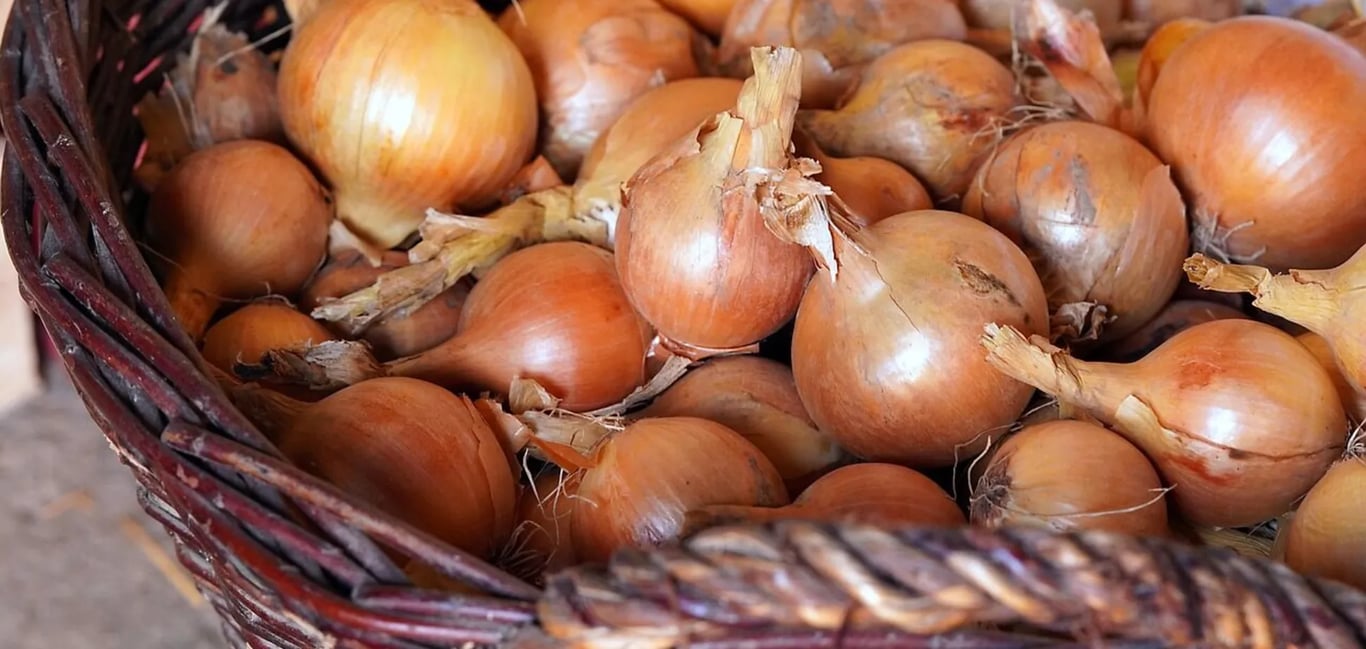 Чи можна зберігати цибулю в холодильнику