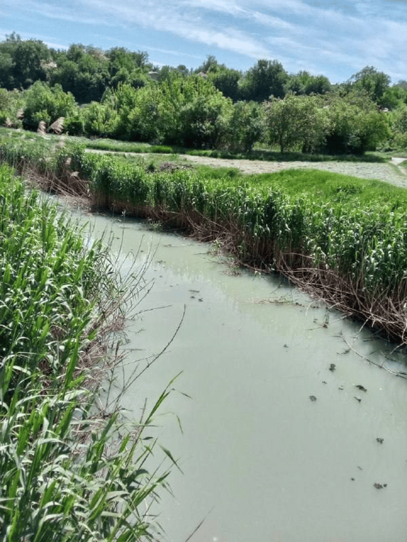 маріуполь кальчик фото зараз