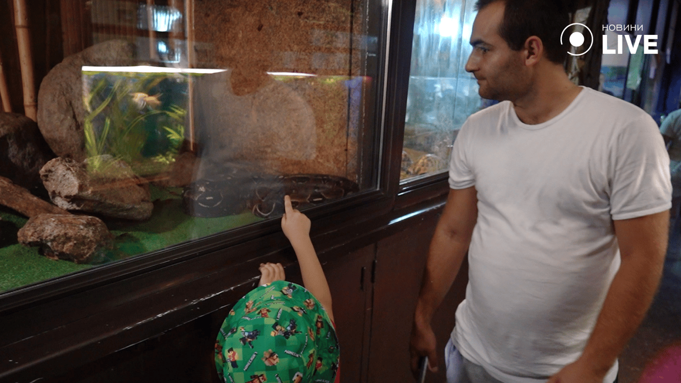 Люди смотрят на питона. Фото: Новини.LIVE