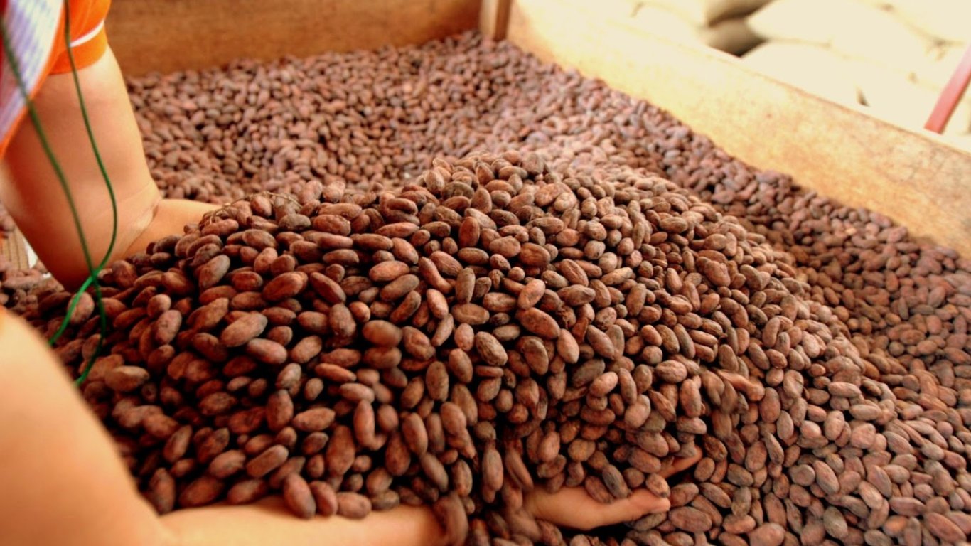 Цены на какао растут быстрее биткоина, — Bloomberg