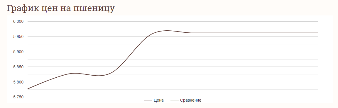 Ціни на зернові в Україні станом на 23 квітня 2024 року