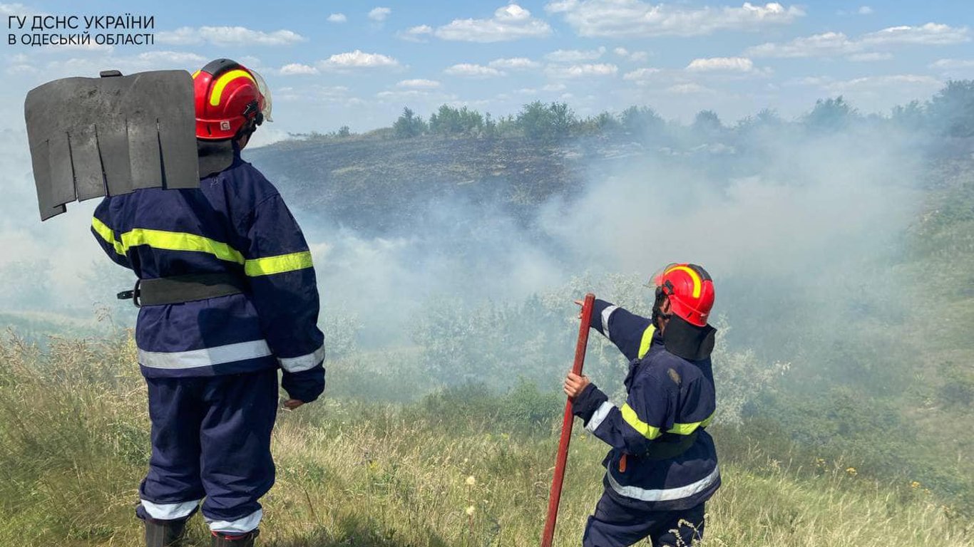 В Одесской области огонь уничтожил 24 га земли в экосистемах региона
