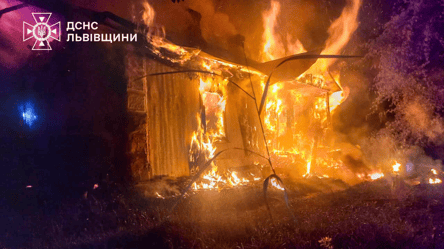На пожаре во Львовской области погиб мужчина - 285x160