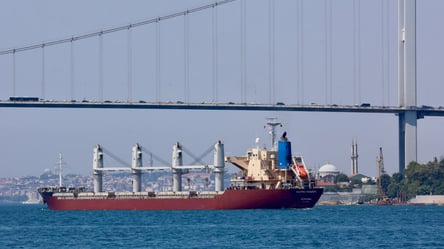 Чергове російське судно з українським зерном прямує до Сирії - 285x160