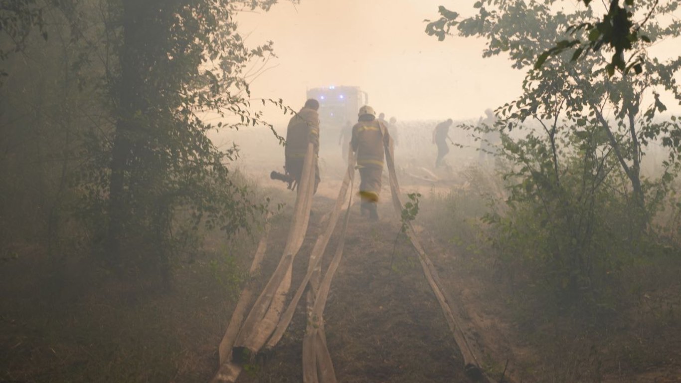 В Николаевской области масштабный лесной пожар