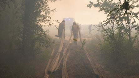 В Миколаївській області масштабна лісова пожежа - 285x160
